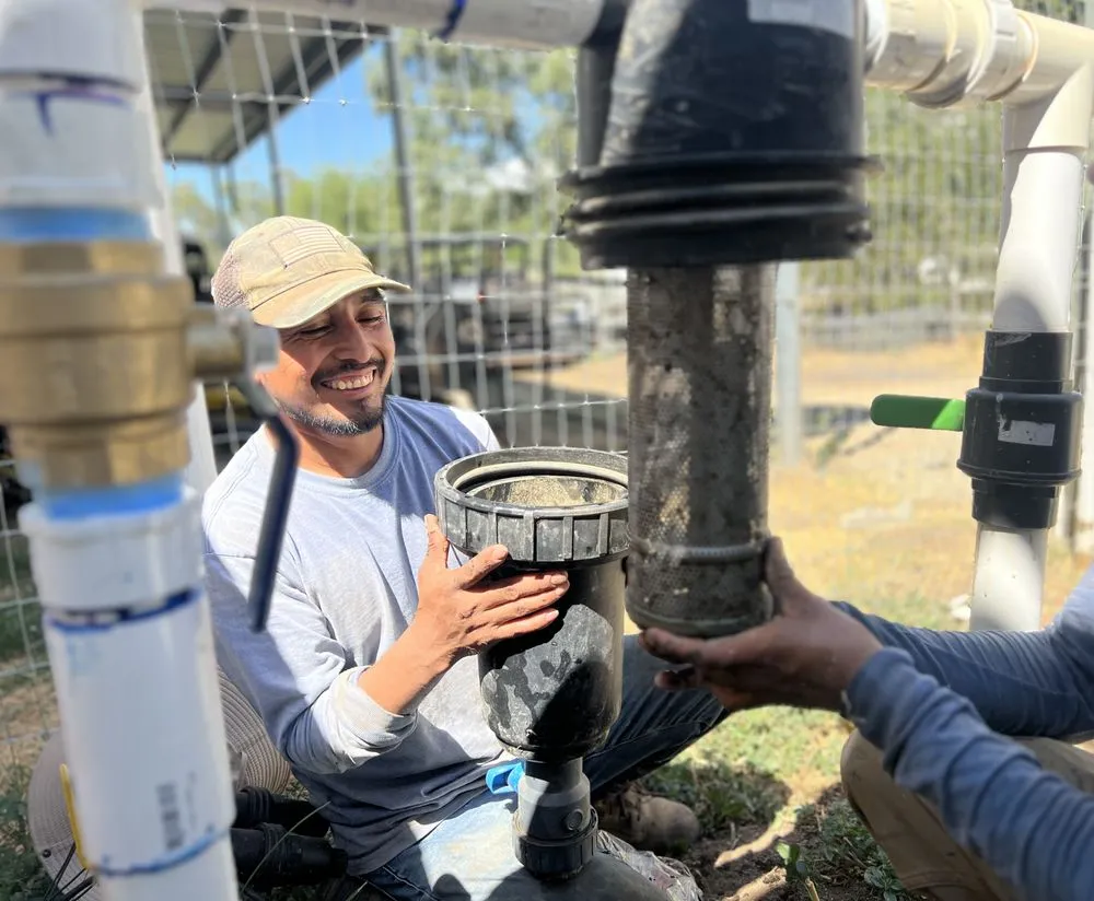 Expert garden landscaping in Sacramento, CA - Eagleview Landscaping