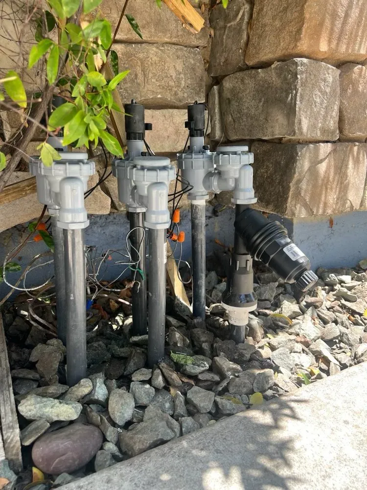 Reliable lawn care service in Sacramento, CA - Eagleview Landscaping