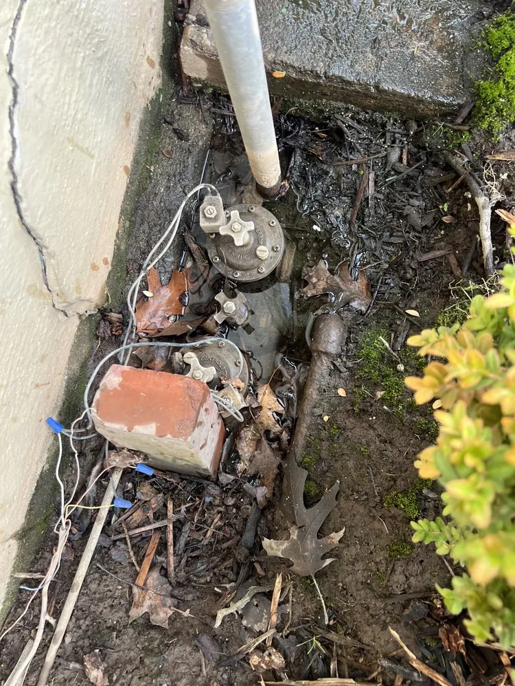 Local landscaping services for outdoor upgrades across Sacramento, CA - Eagleview Landscaping