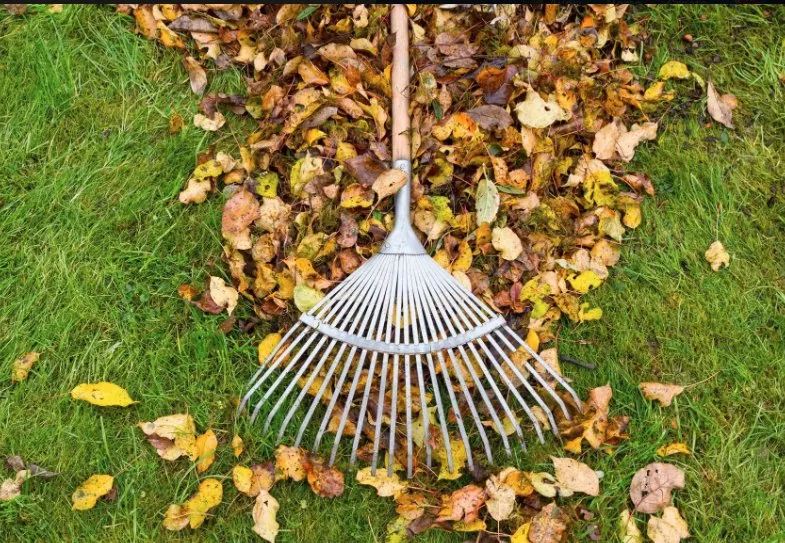 Expert residential landscaping experts serving San Antonio, TX - Eagleye Services Landscape And More