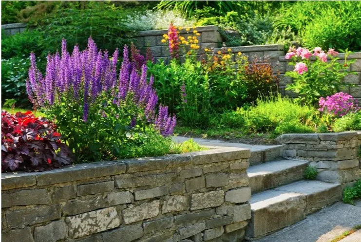 Custom yard maintenance experts serving San Antonio, TX - Eagleye Services Landscape And More