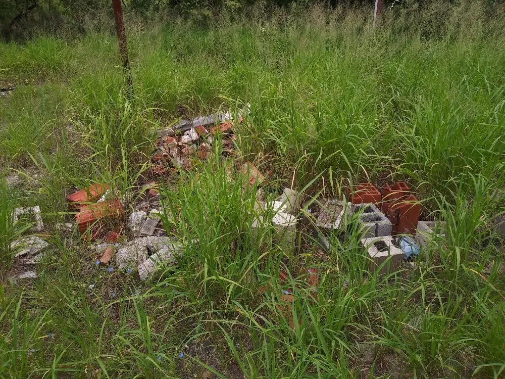 Reliable residential landscaping in San Antonio, TX - Eagleye Services Landscape And More