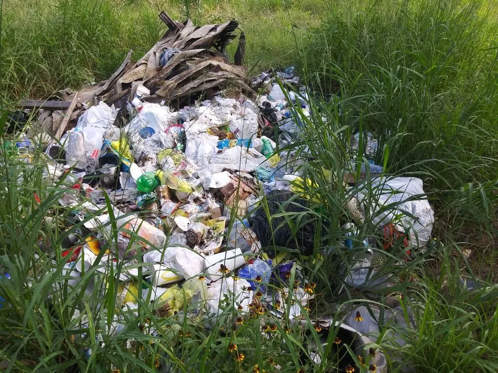 Local outdoor landscaping near you in San Antonio, TX by Eagleye Services Landscape And More