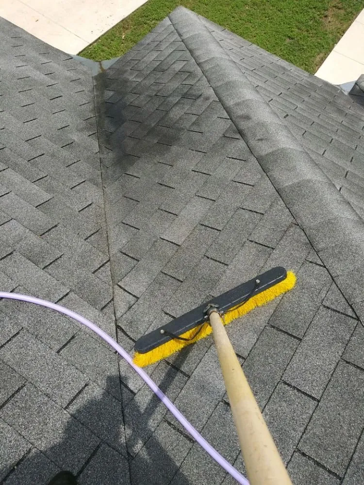 Custom outdoor landscaping for beautiful yards in San Antonio, TX by Eagleye Services Landscape And More