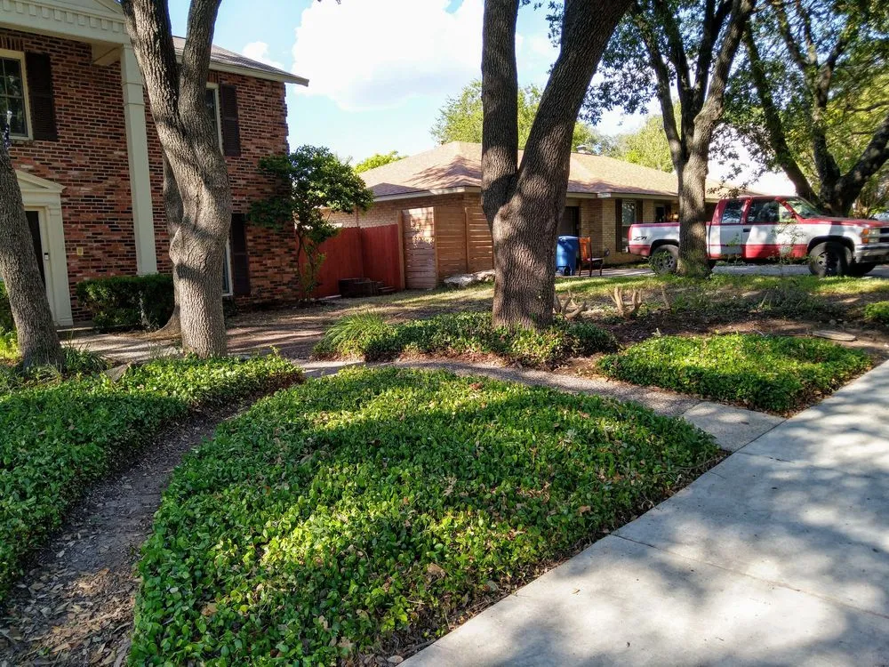 Expert yard maintenance for beautiful yards in San Antonio, TX by Eagleye Services Landscape And More