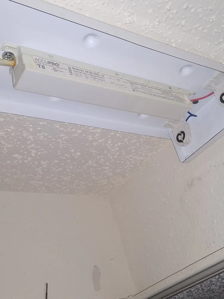 Trusted yard cleanup service experts serving San Antonio, TX - Eagleye Services Landscape And More