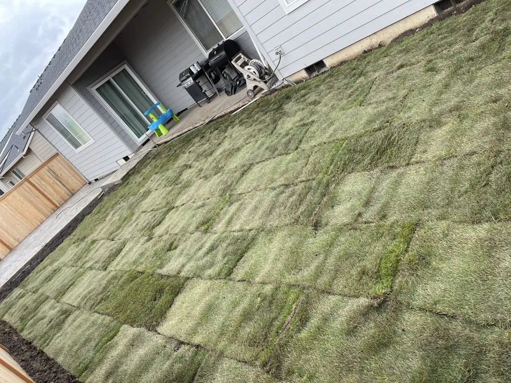 Affordable lawn mowing service in McMinnville, OR by Eaim