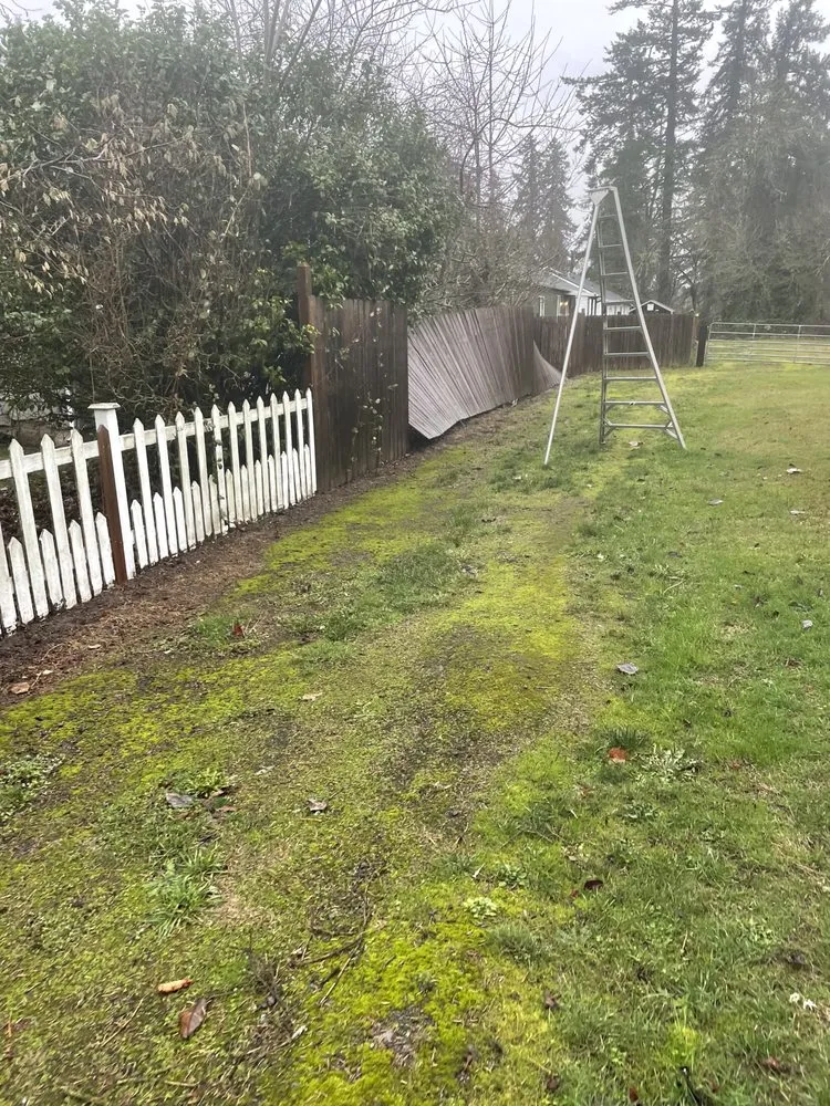 Professional yard maintenance for beautiful yards in McMinnville, OR by Eaim