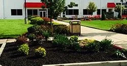 Local landscape design for beautiful yards in Monroeville, NJ by Eaise Design & Landscaping