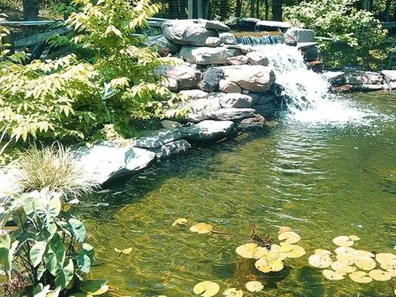 Local yard maintenance in Monroeville, NJ - Eaise Design & Landscaping