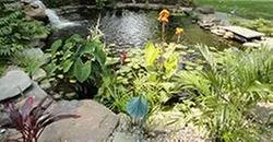 Expert lawn mowing service with custom design across Monroeville, NJ - Eaise Design & Landscaping