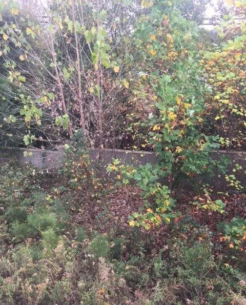 Local outdoor landscaping in Atlanta, GA - EAM Landscaping