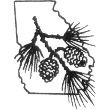 Custom yard cleanup service near you in Atlanta, GA by EAM Landscaping