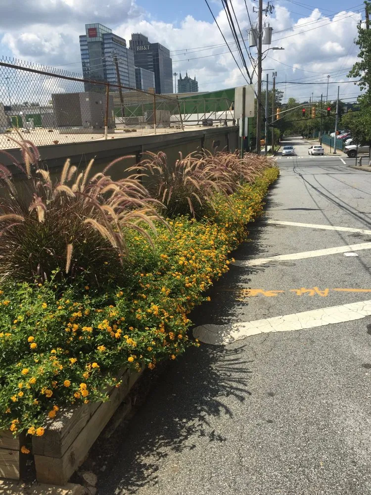 Expert landscaping services experts serving Atlanta, GA - EAM Landscaping