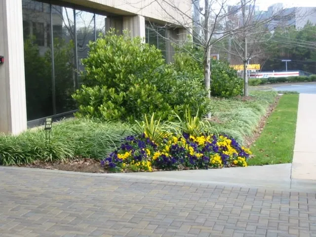 Affordable garden landscaping for homes in Atlanta, GA by EAM Landscaping