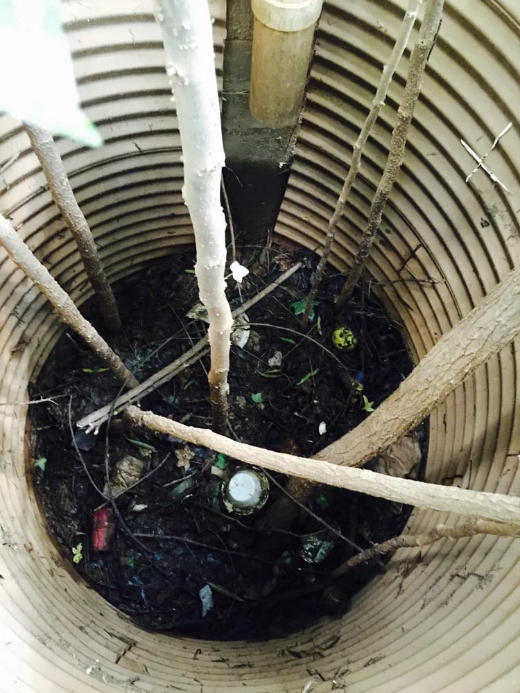 Top-rated residential landscaping in Atlanta, GA by EAM Landscaping