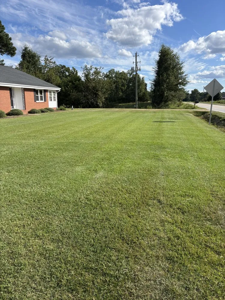 Custom lawn care service experts serving Zebulon, NC - Eans Lawn Care
