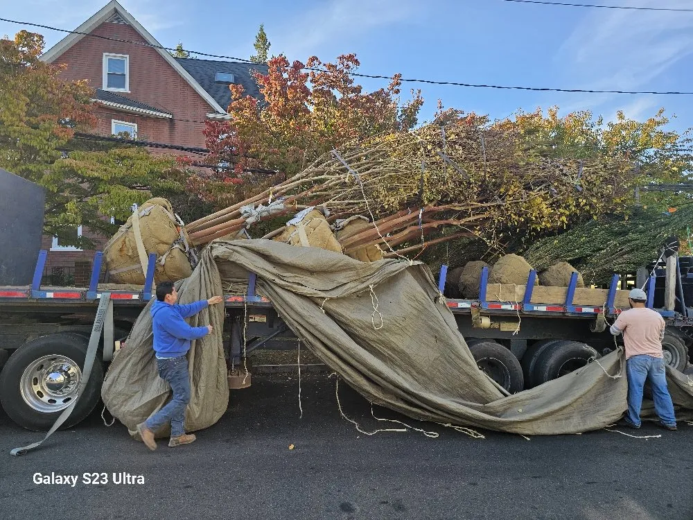 Local garden landscaping in Stamford, CT by EAP Landscaping and Maintenance