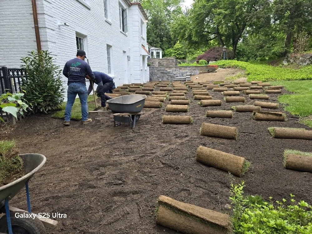 Top-rated landscaping services experts serving Stamford, CT - EAP Landscaping and Maintenance