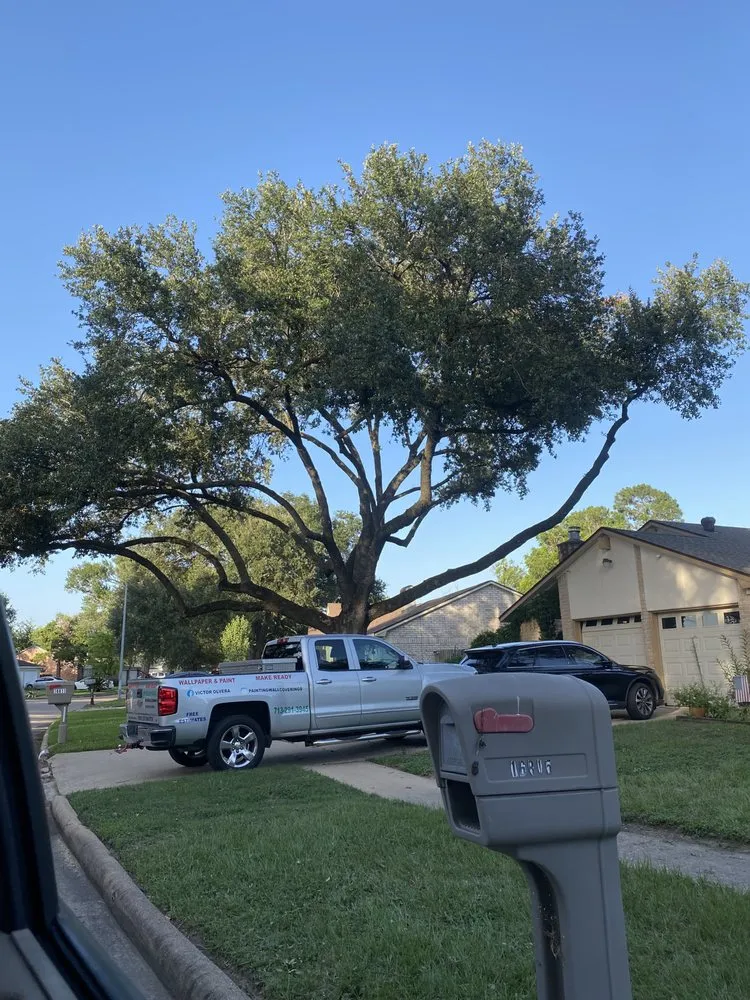 Expert landscaping services for year-round maintenance in Houston, TX by EAP Landscaping