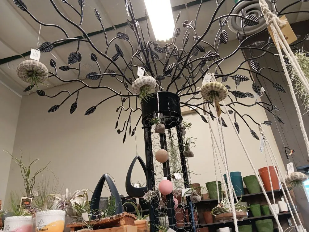 Professional lawn care service in Des Moines, IA - Earl May Garden Center