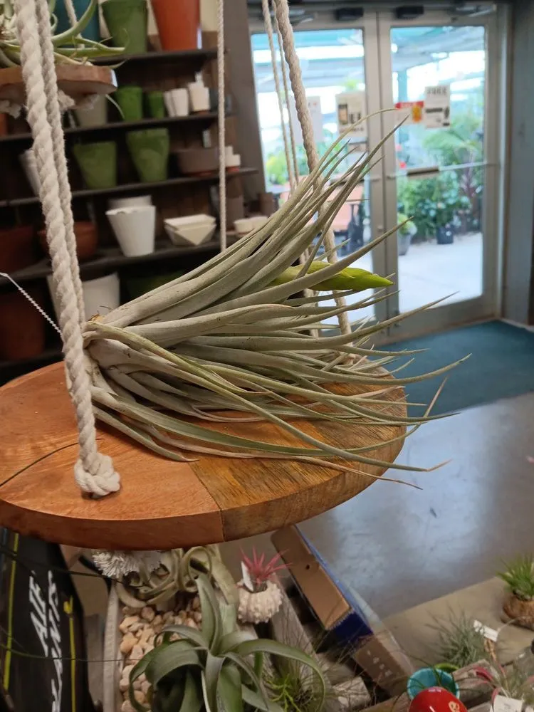 Professional outdoor landscaping for outdoor upgrades in Des Moines, IA by Earl May Garden Center