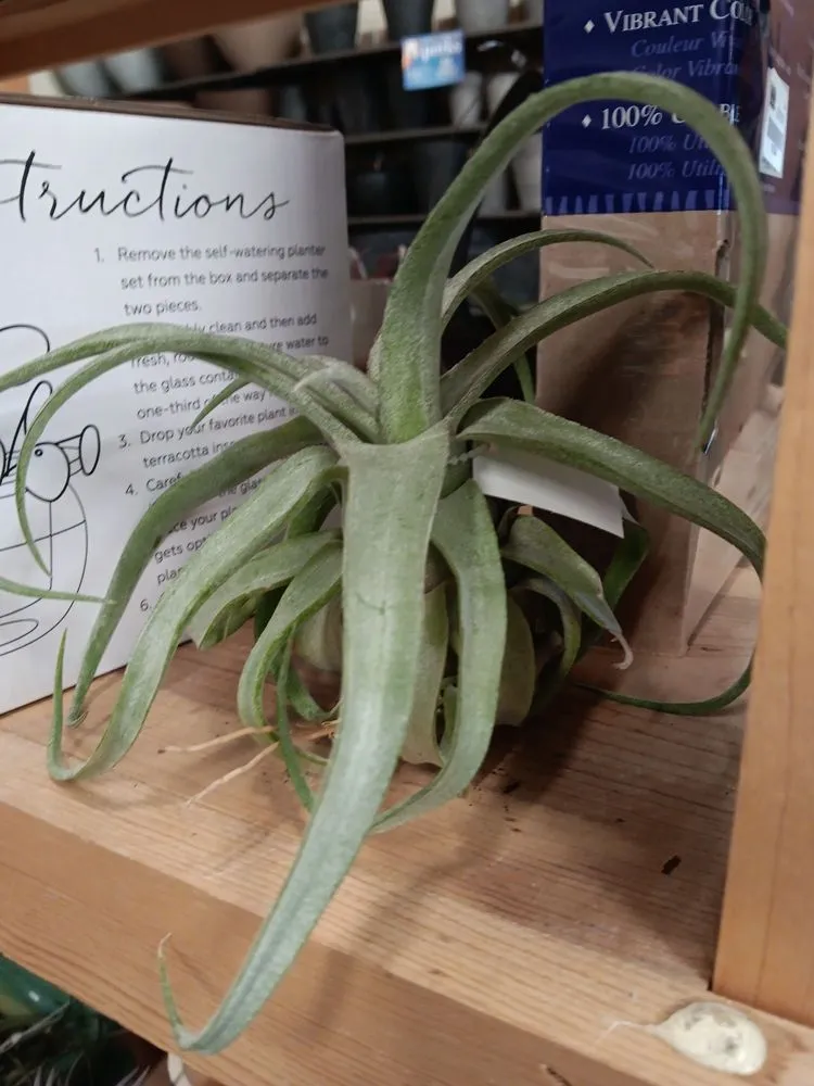 Custom lawn care service for year-round maintenance in Des Moines, IA by Earl May Garden Center