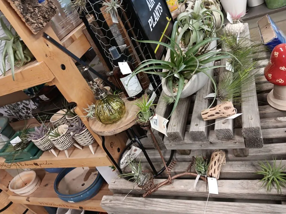 Professional lawn mowing service with custom design in Des Moines, IA by Earl May Garden Center