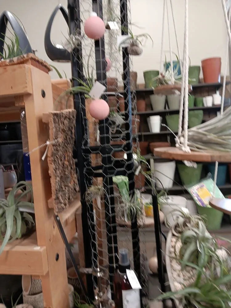 Custom landscape design with custom design across Des Moines, IA - Earl May Garden Center