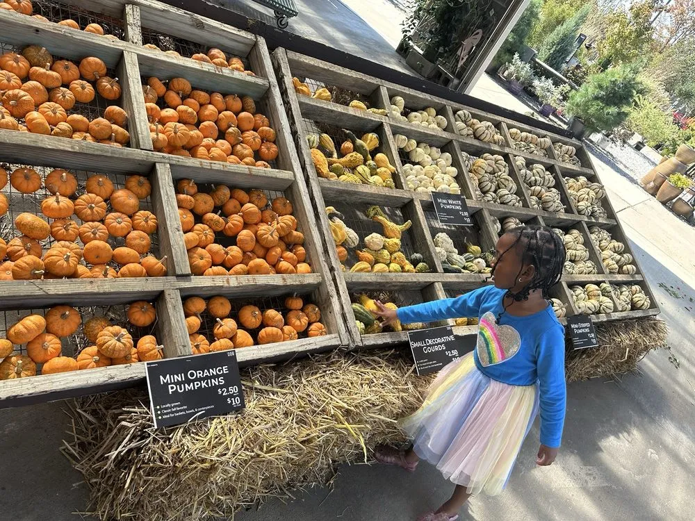 Affordable garden landscaping near you in Shawnee, KS by Earl May Garden Center