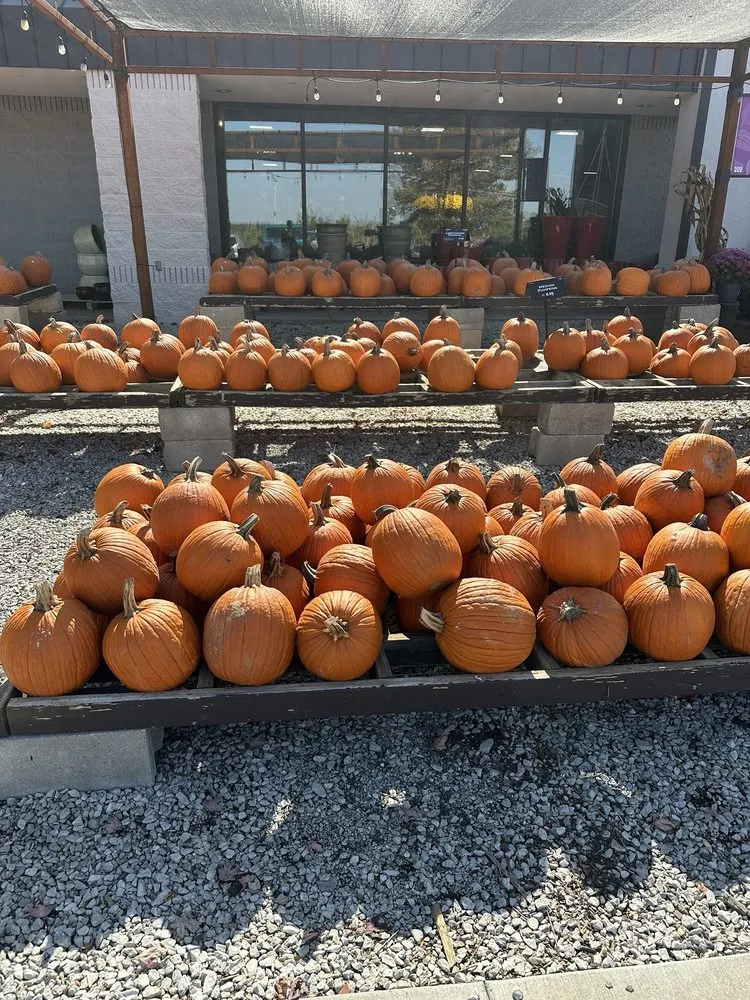 Expert garden landscaping near you across Shawnee, KS - Earl May Garden Center