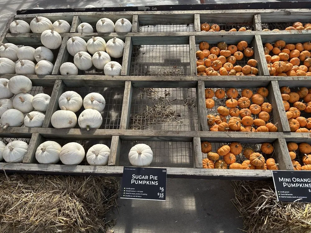 Top-rated lawn mowing service experts serving Shawnee, KS - Earl May Garden Center