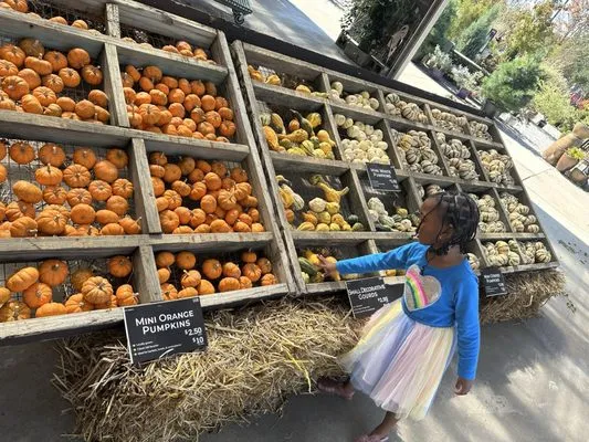 Earl May Garden Center Logo