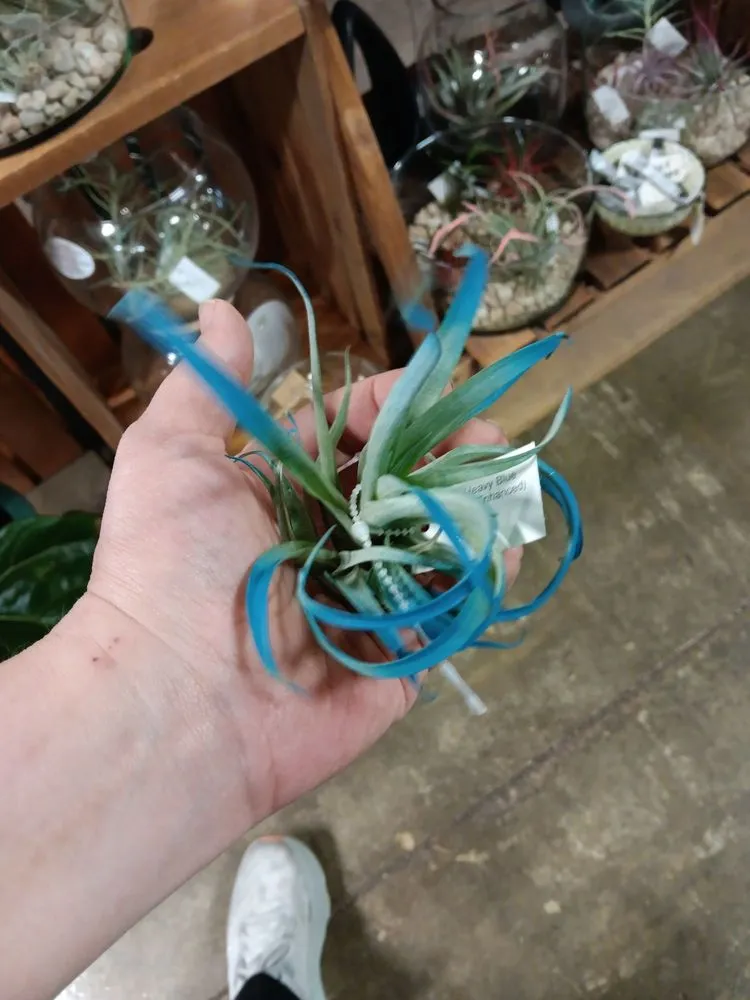 Trusted residential landscaping experts serving West Des Moines, IA - Earl May Garden Center