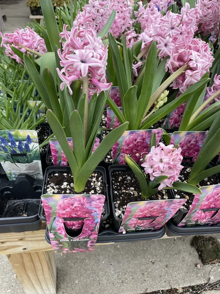 Top-rated lawn mowing service with custom design in West Des Moines, IA by Earl May Garden Center