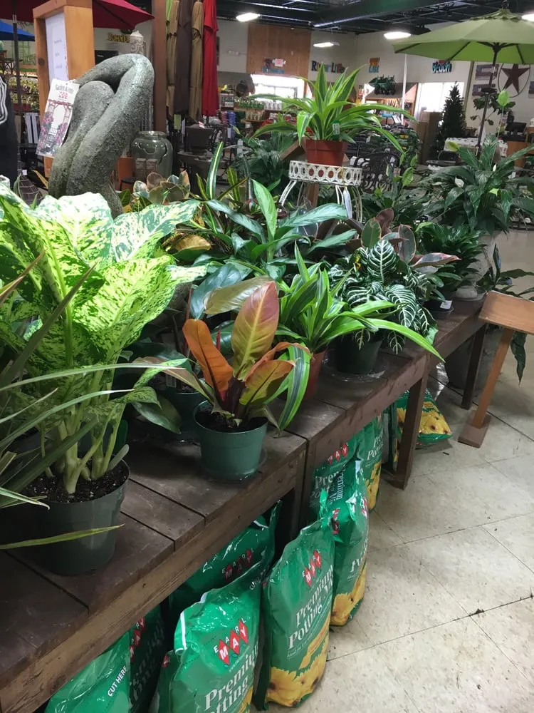 Top-rated lawn care service with custom design in West Des Moines, IA by Earl May Garden Center