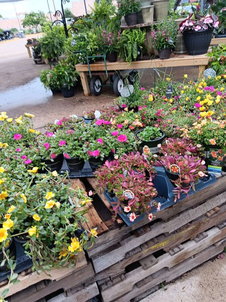 Professional landscape design experts serving West Des Moines, IA - Earl May Garden Center