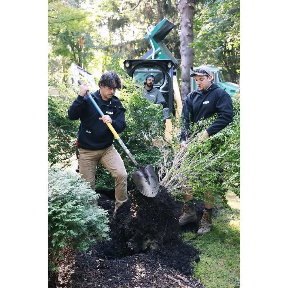 Top-rated residential landscaping in Wellesley Hills, MA by Earle B Mosher