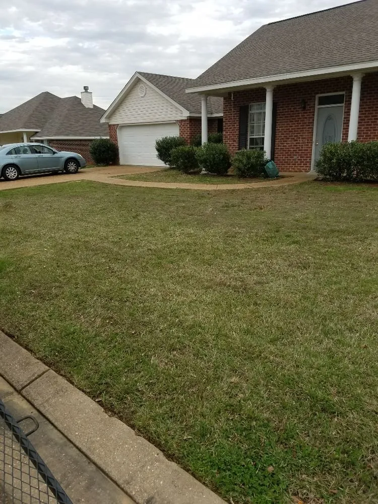 Custom landscape design experts serving Brandon, MS - Earles Lawn Care