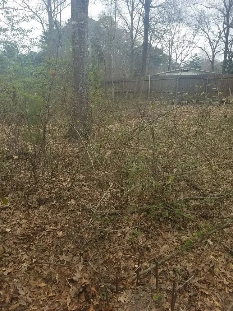 Local landscape installation with custom design across Brandon, MS - Earles Lawn Care