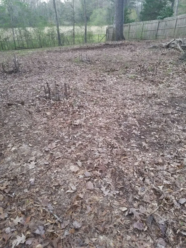 Reliable landscape design in Brandon, MS by Earles Lawn Care