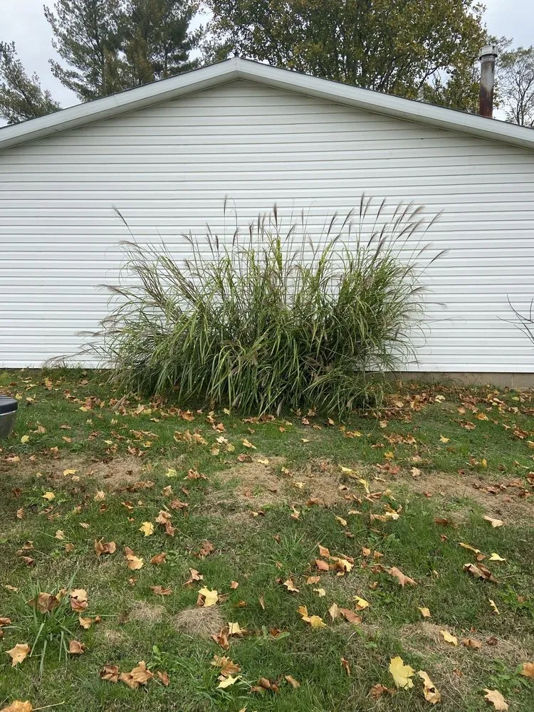 Expert landscaping services for year-round maintenance across Senecaville, OH - Earley’s Landscaping
