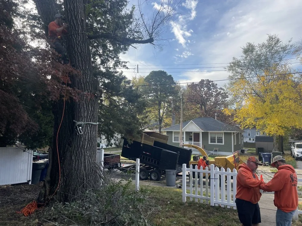 Trusted yard maintenance experts serving Cedar Hill, MO - Earley&Son’s Tree Service and Landscaping