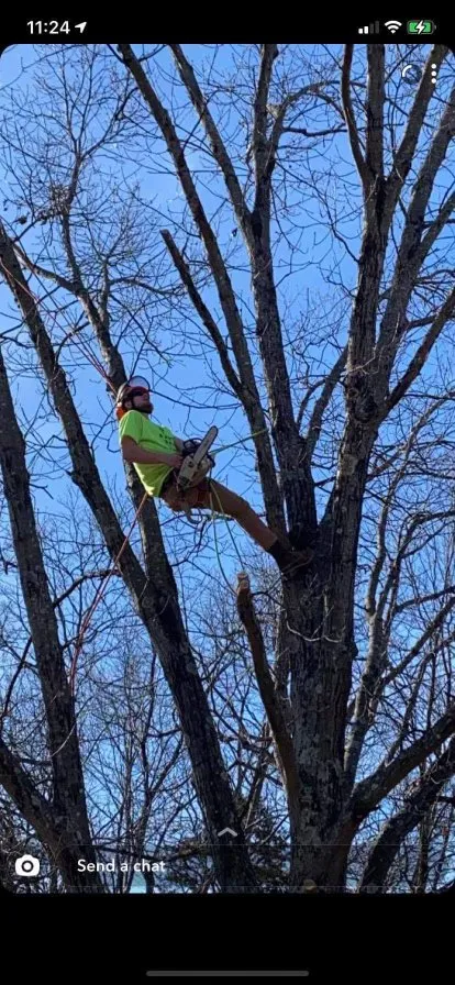 Top-rated garden landscaping for year-round maintenance in Cedar Hill, MO by Earley&Son’s Tree Service and Landscaping