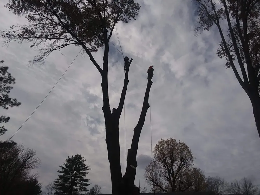 Trusted garden landscaping with custom design across Cedar Hill, MO - Earley&Son’s Tree Service and Landscaping