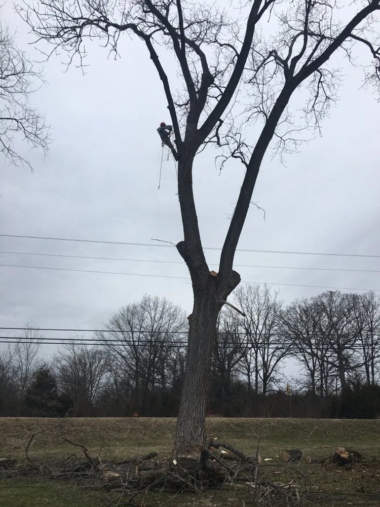 Trusted garden landscaping experts serving Cedar Hill, MO - Earley&Son’s Tree Service and Landscaping