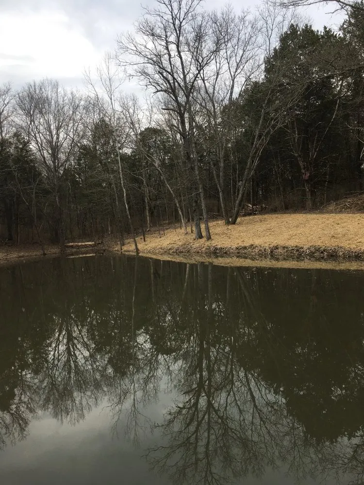 Expert landscape installation for beautiful yards in Cedar Hill, MO by Earley&Son’s Tree Service and Landscaping
