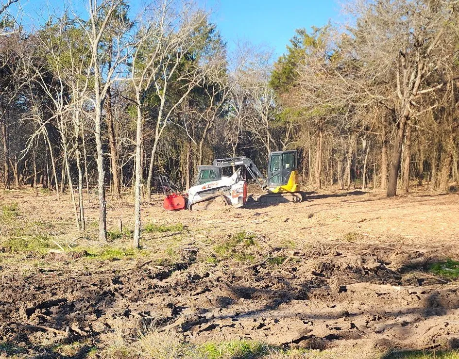 Professional yard cleanup service for homes in Greenville, TX by Earls Construction