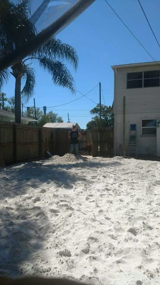 Expert lawn mowing service for outdoor upgrades in Zephyrhills, FL by Earl's Lawn Care & Tree Trimming