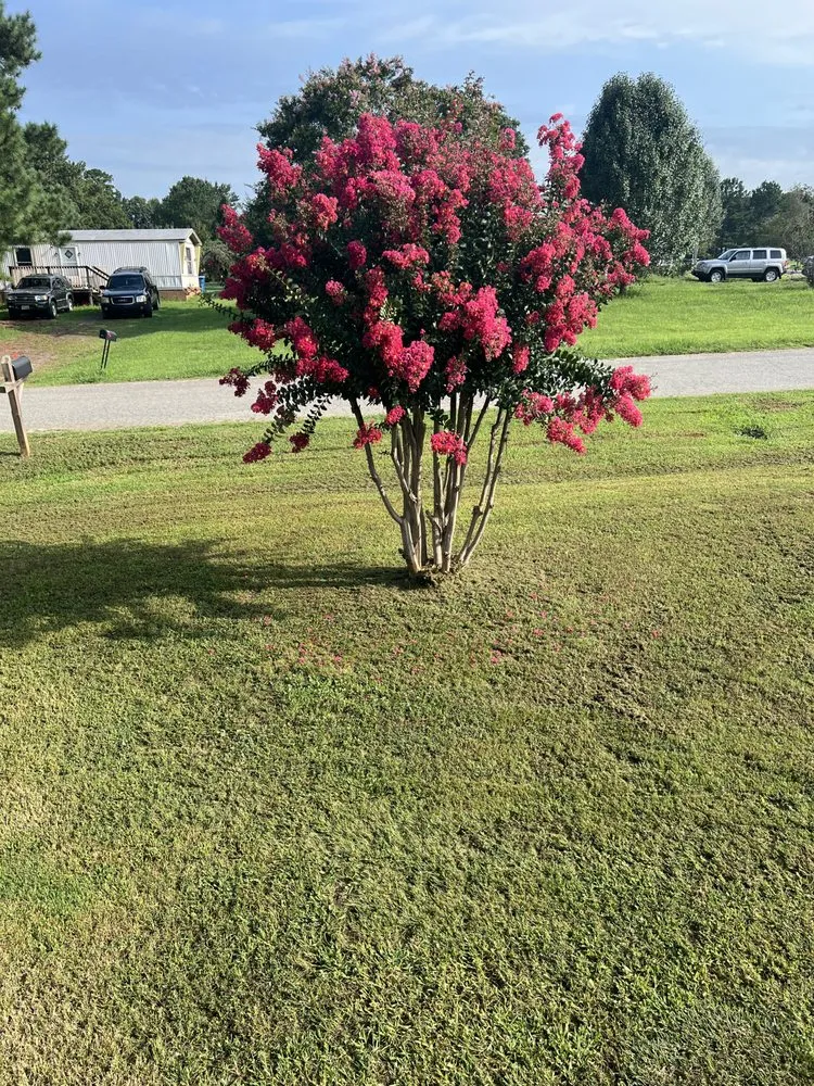 Reliable garden landscaping experts serving Salisbury, NC - Earl's Lawn Care